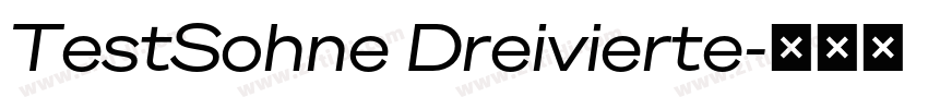 TestSohne Dreivierte字体转换
